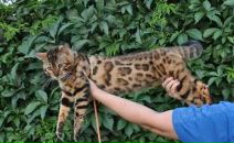 Фотография Плюсниной Елены