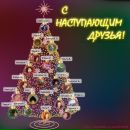 Фотография Степашиной Натальи