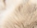 Оксана Пасічник фотография #32 (источник - https://vk.com/id128072974)