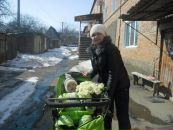 Наташа Чепайкіна фотография #22 (источник - https://vk.com/id80057311)