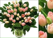 Фотография Швецовой Ирины