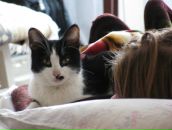 Фотография Доброй Аси