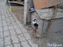 Діана Ставка фотография #7 (источник - https://vk.com/id166687039)