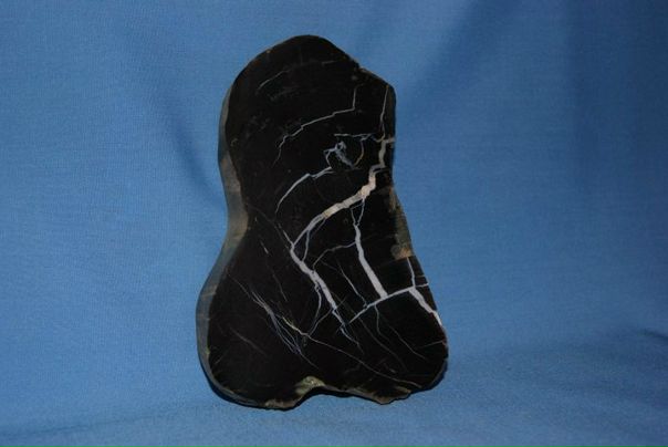 Виктор Ковалев фото №49