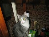 Фотография Максимова Мишани