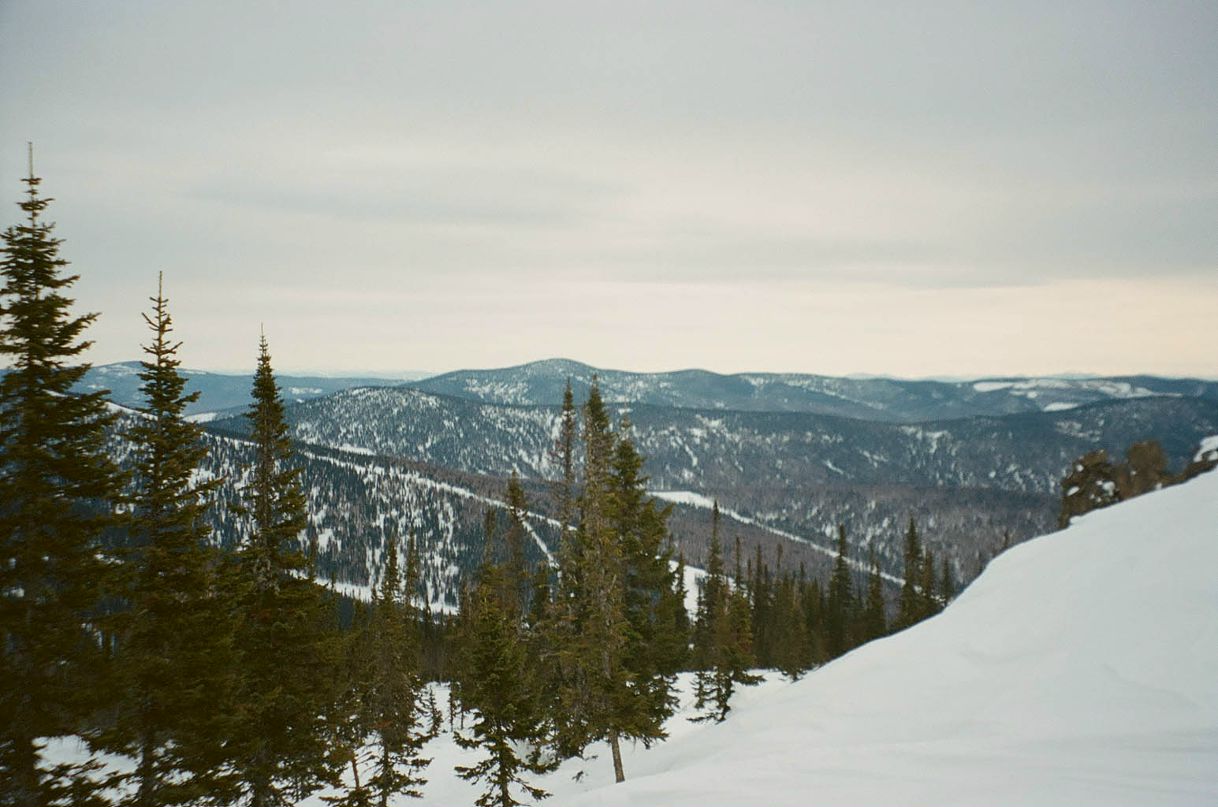 Лена Молодяну фотография #35