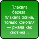 Лілічка Мормиш фотография #31 (источник - https://vk.com/id110583607)