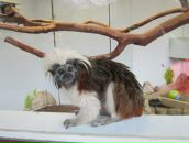 Наталья Юксель фотография #12 (источник - https://vk.com/id10422019)