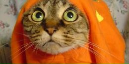 Фотография Борца Дмитрия