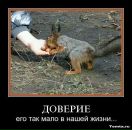 Фотография Лойко Светланы