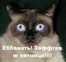 Аліна Поваляєва фотография #15 (источник - https://vk.com/id123912680)