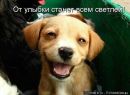 Іван Петрович фотография #16 (источник - https://vk.com/id141694840)