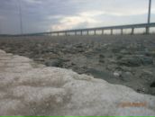 Фотография Бадрака Ивана