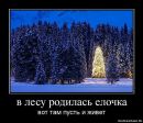 Марічка Маник фотография #9 (источник - https://vk.com/id31624862)
