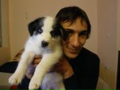 Фотография Исмайлова Рауфа