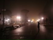 Фотография Лазаревой Елены