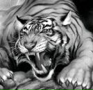 Андрій Касько фотография #13 (источник - https://vk.com/id135983111)