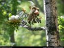 Фотография Щукина Ивана