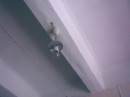 Віталя Бондар фотография #16 (источник - https://vk.com/id16466918)