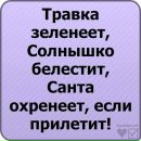 Алла Грішко фотография #10 (источник - https://vk.com/id157823740)