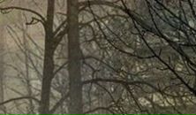 Вася Петя фотография #19 (источник - https://vk.com/id29331749)