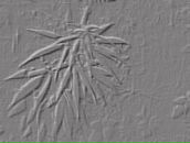 Віталій Соловей фотография #41 (источник - https://vk.com/id134010132)