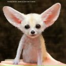 Фотография Полевой Кристины