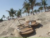 Фотография Терещенковой Елены