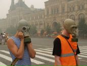 Фотография Вольнова Валерия