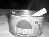 Фотография Терехова Артёма