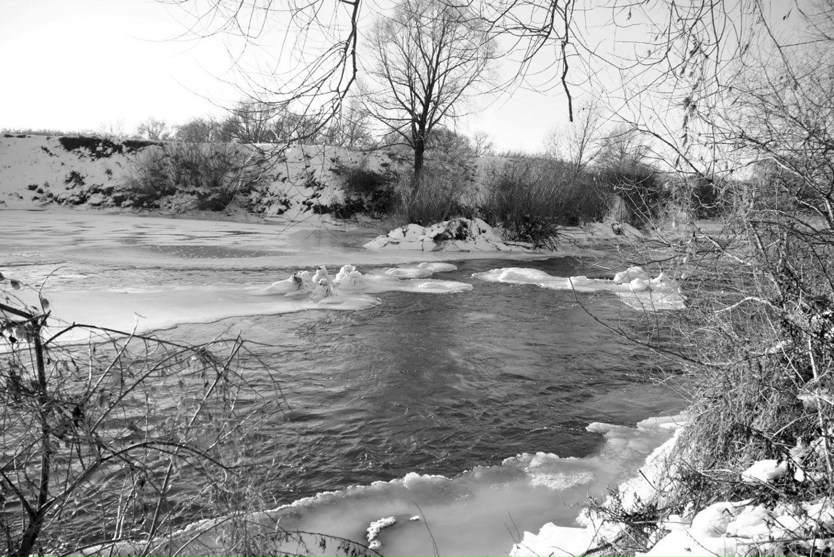 Дмитрий Ушаков фотография #30