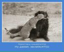 Людмила Яніцька фотография #48 (источник - https://vk.com/id54413497)