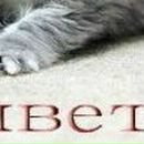 Оля Бондарчук--Варшавець фотография #50 (источник - https://vk.com/id52409522)