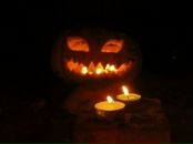 Фотография Ерохиной Ольги