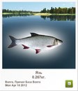 Іван Розновець фотография #43 (источник - https://vk.com/id142171220)
