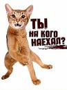 Андрій Гулик фотография #21 (источник - https://vk.com/id74493400)