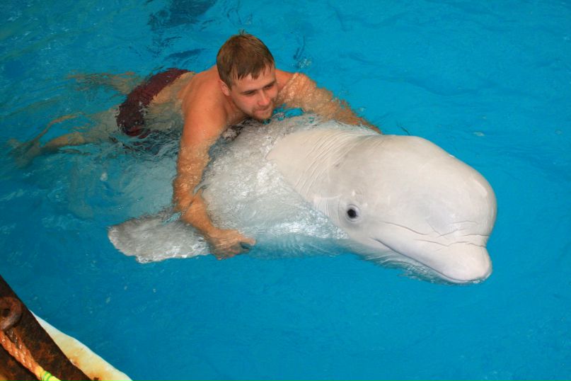 Максим Давидчук фотография #35