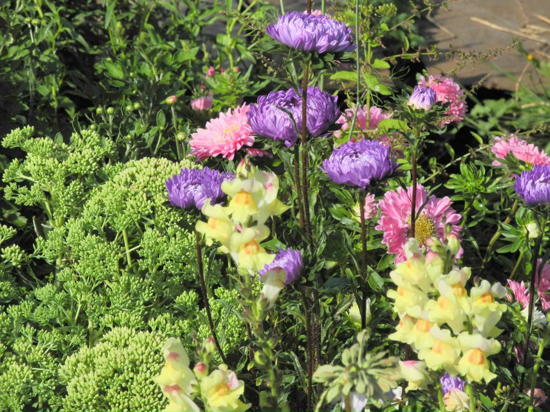 Илья Маслов фотография #45