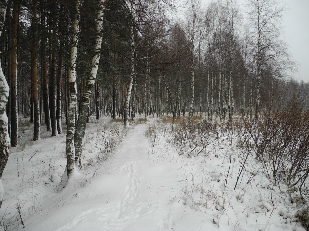 Илья Маслов фотография #28