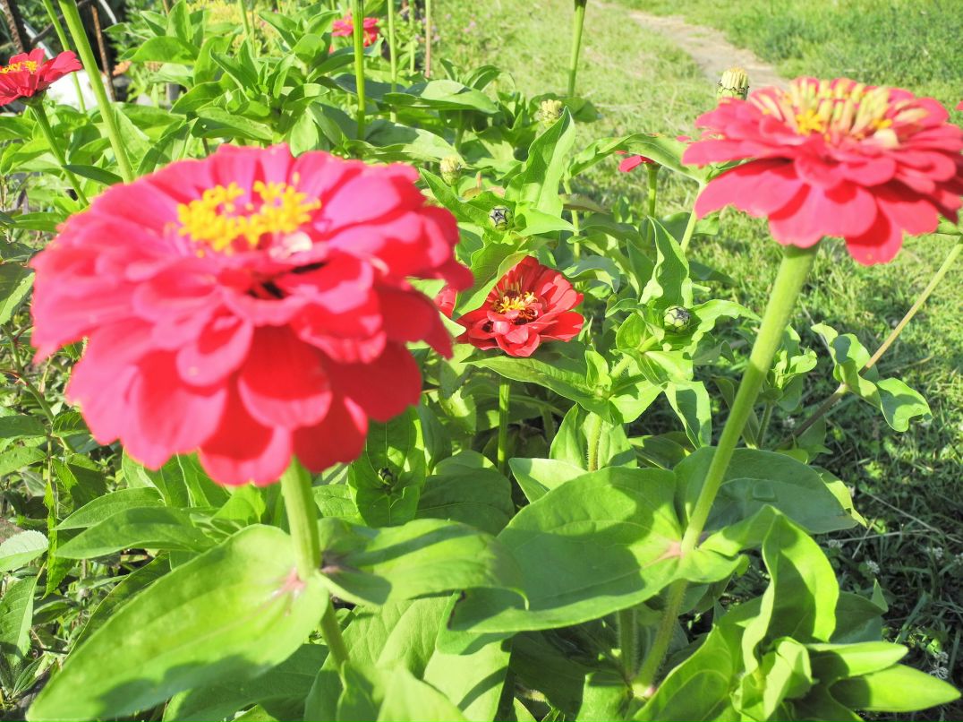 Илья Маслов фотография #47