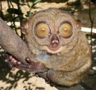 Фотография Новосёлова Артура