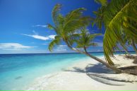 Фотография Кустаревой Елены