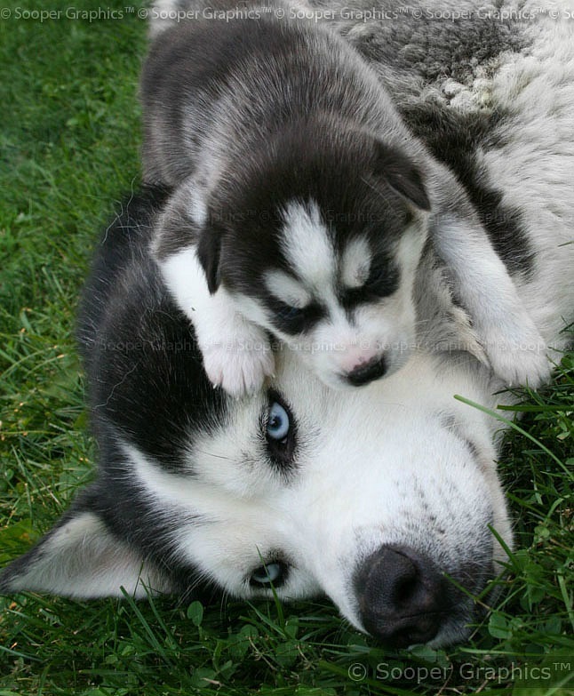 Олег Д фотография #42