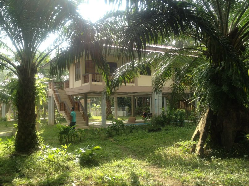 Тёма Иванов фотография #34