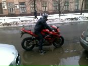 Antoshka (: фотография #1