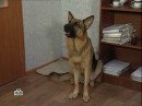Максім Жарав фотография #10 (источник - https://vk.com/id387555148)