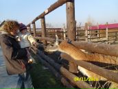 Ірина Шелевер фотография #4 (источник - https://vk.com/id21146049)