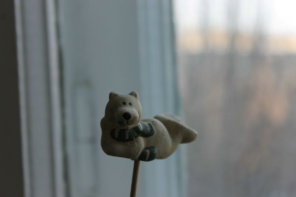 Аля Евтушенко фото №11