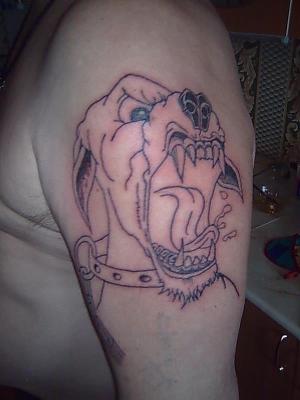 Макс Гладышев фотография #47