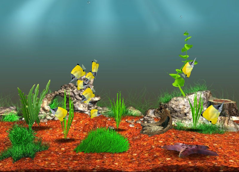 Андрей Фучаджи фотография #6